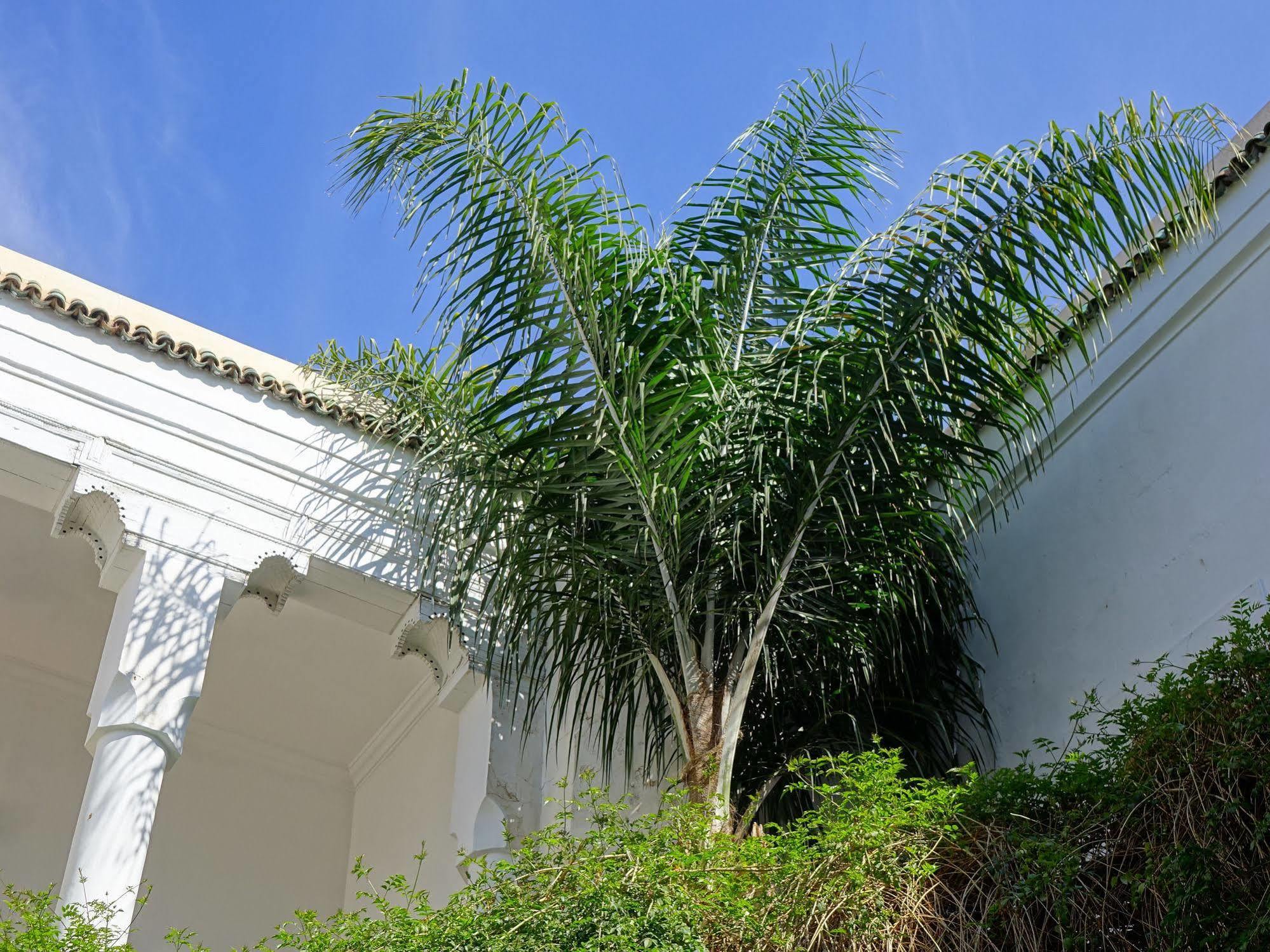 Riad Al Assala Marrakesh Buitenkant foto